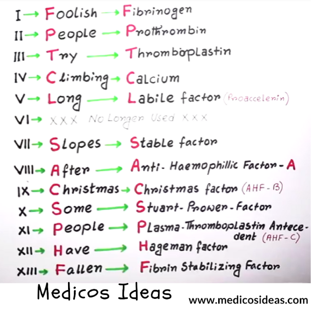 Coagulation Factors (Cascade) Easy To Learn With Mnemonics and Diagram