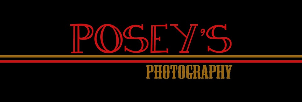 Posey's Photography
