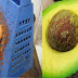 Once You Learn This You Will Never Throw Out the Avocado Pit Again!