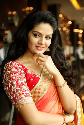 SriMukhi in Saree Photos