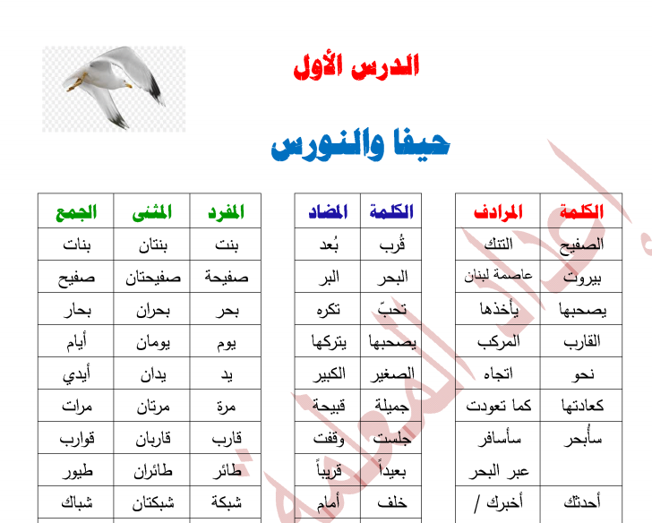 قاموس اللغة العربية للصف الثالث الفصل الثاني