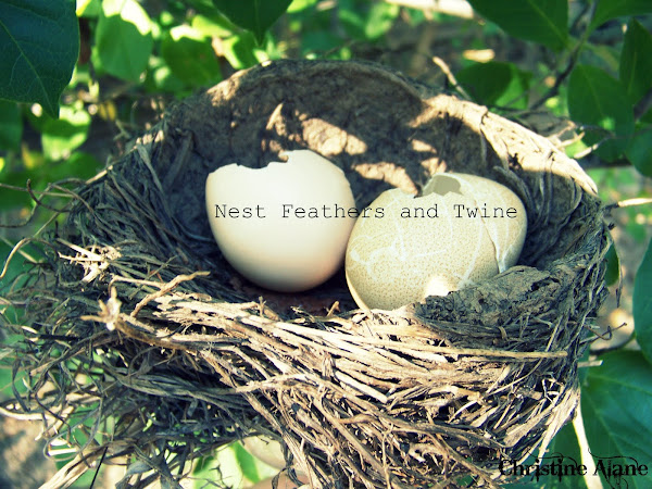Nest Feathers and Twine