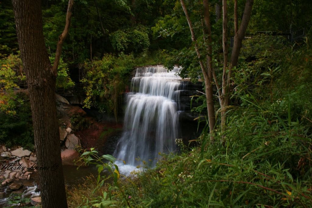 Mishy&rsquo;s Corner of the World: Great Falls and Grindstone Creek