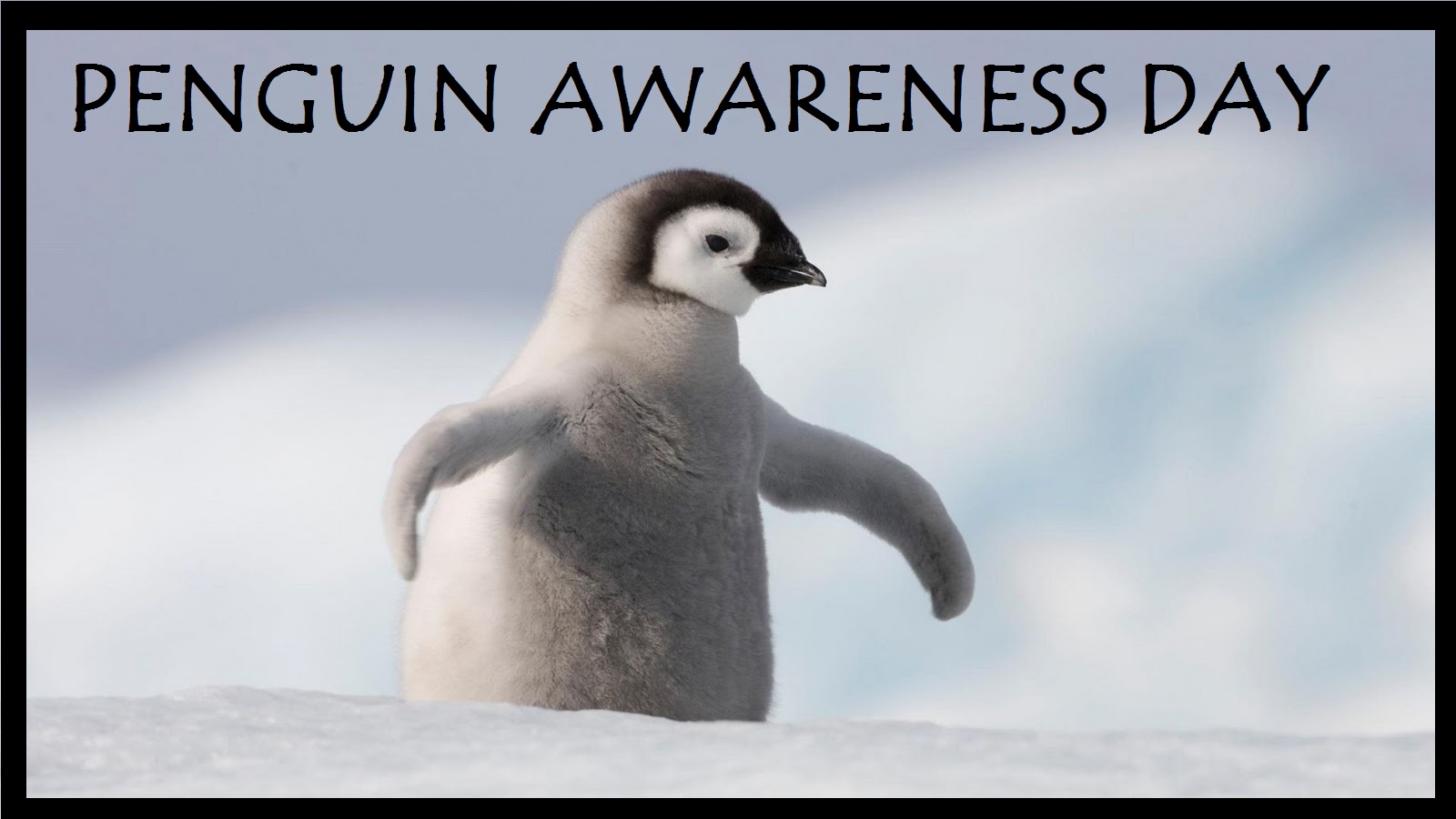 Green Heart At Work: Penguin Awareness Day