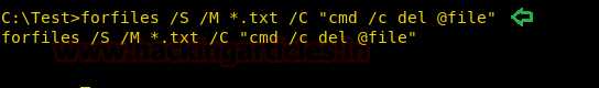 remote PC forensics investigation