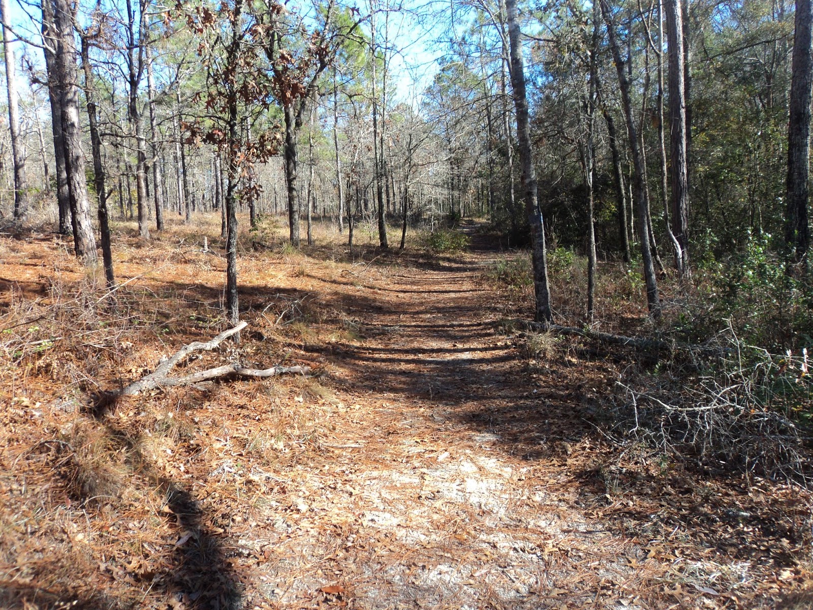 Parking Full Time Hiking Trail Journal L. Smith State Park