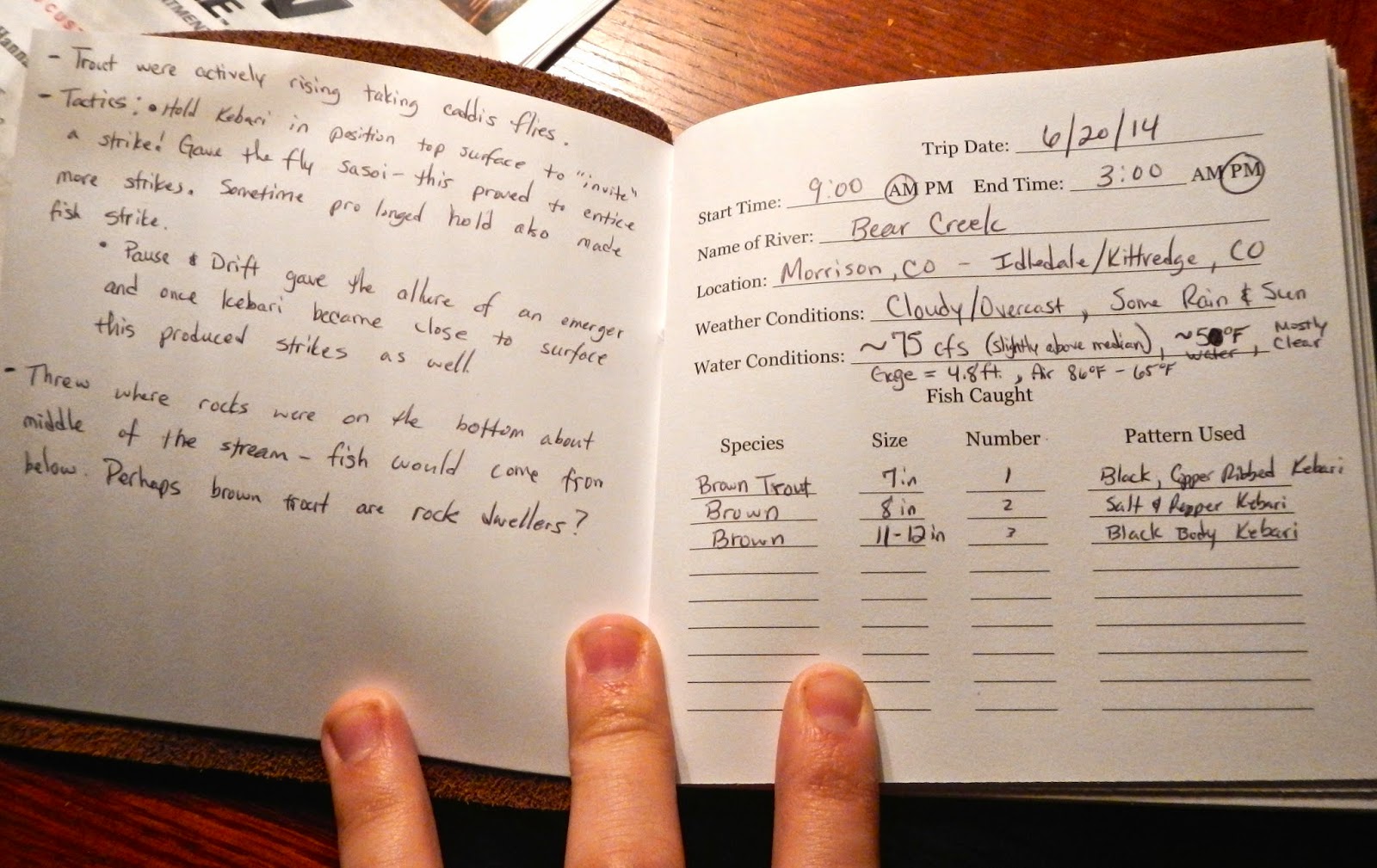 Fickle fisherman essay 07 picture