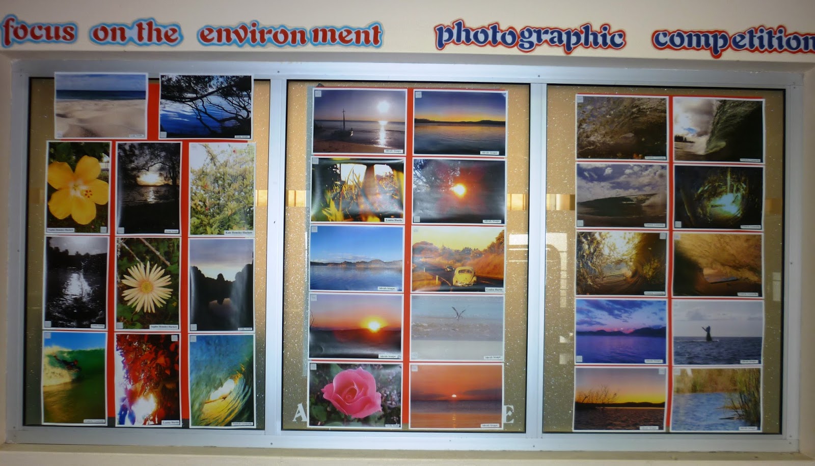 Library Displays: Focus on the environment - Photographic competition