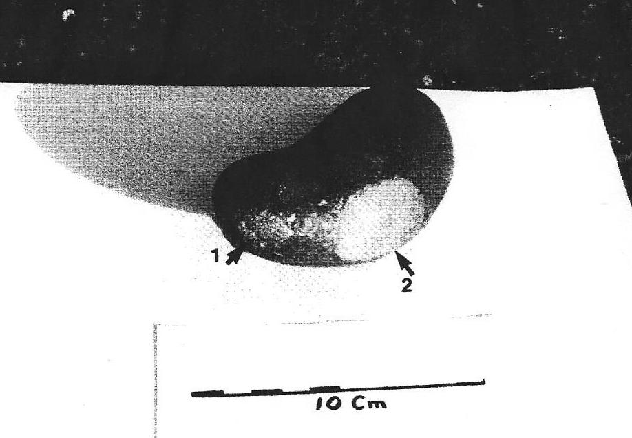 Rock Art Blog PETROGLYPHS DIRECT VS. INDIRECT PERCUSSION REVISITED