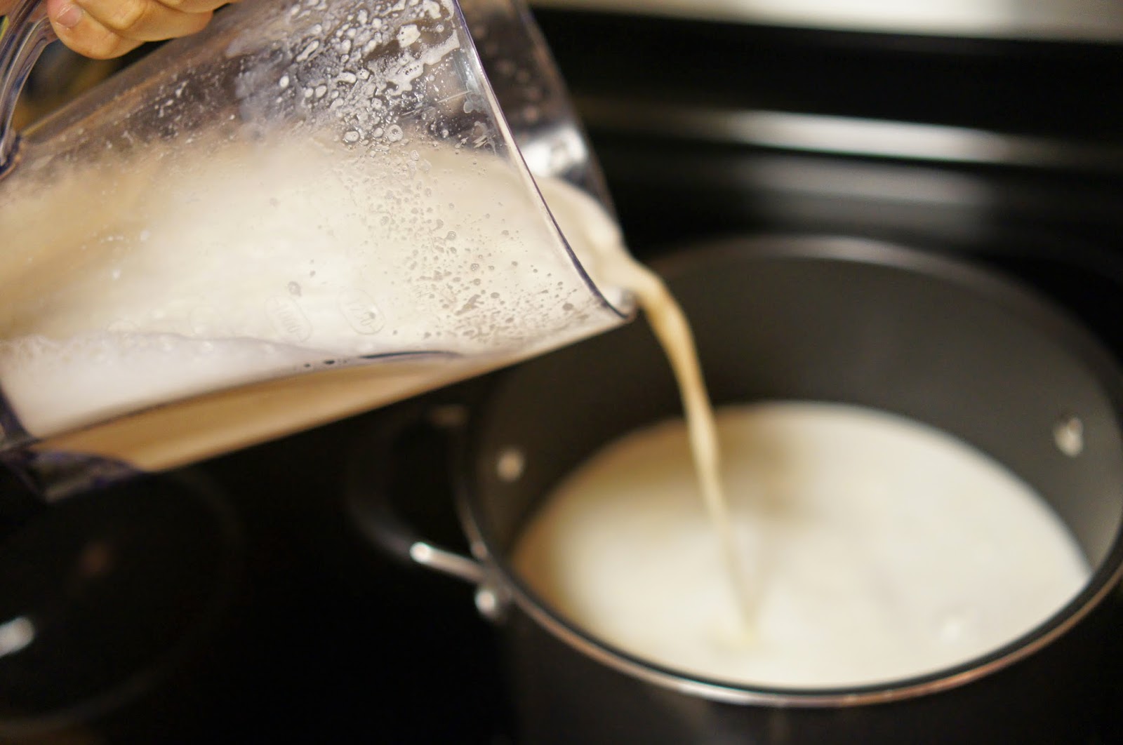 Day in the Life of a Hungry Food Explorer Chinese Soy Milk Recipe