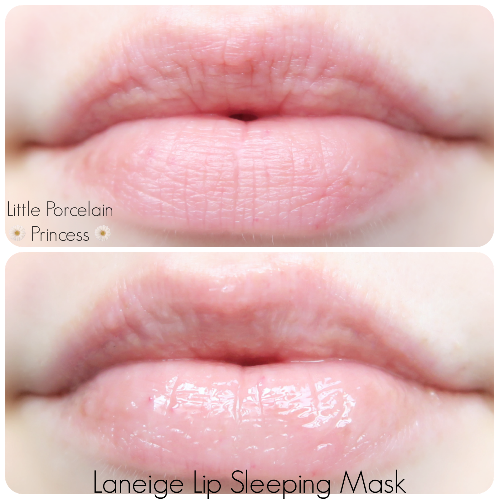 Little Porcelain Princess Review Overnight Lip Mask Comparison