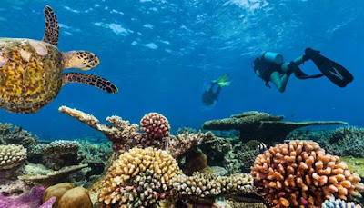 WISATA NUSANTARA PULAU LIUKANG LOE DI BULUKUMBA