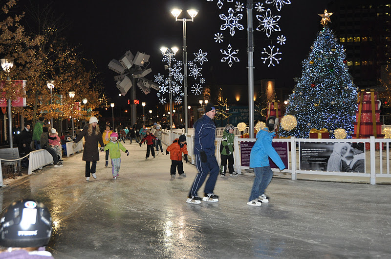 City Rinks Toronto Don Mills Skating Oval / Don Mills Skating Oval