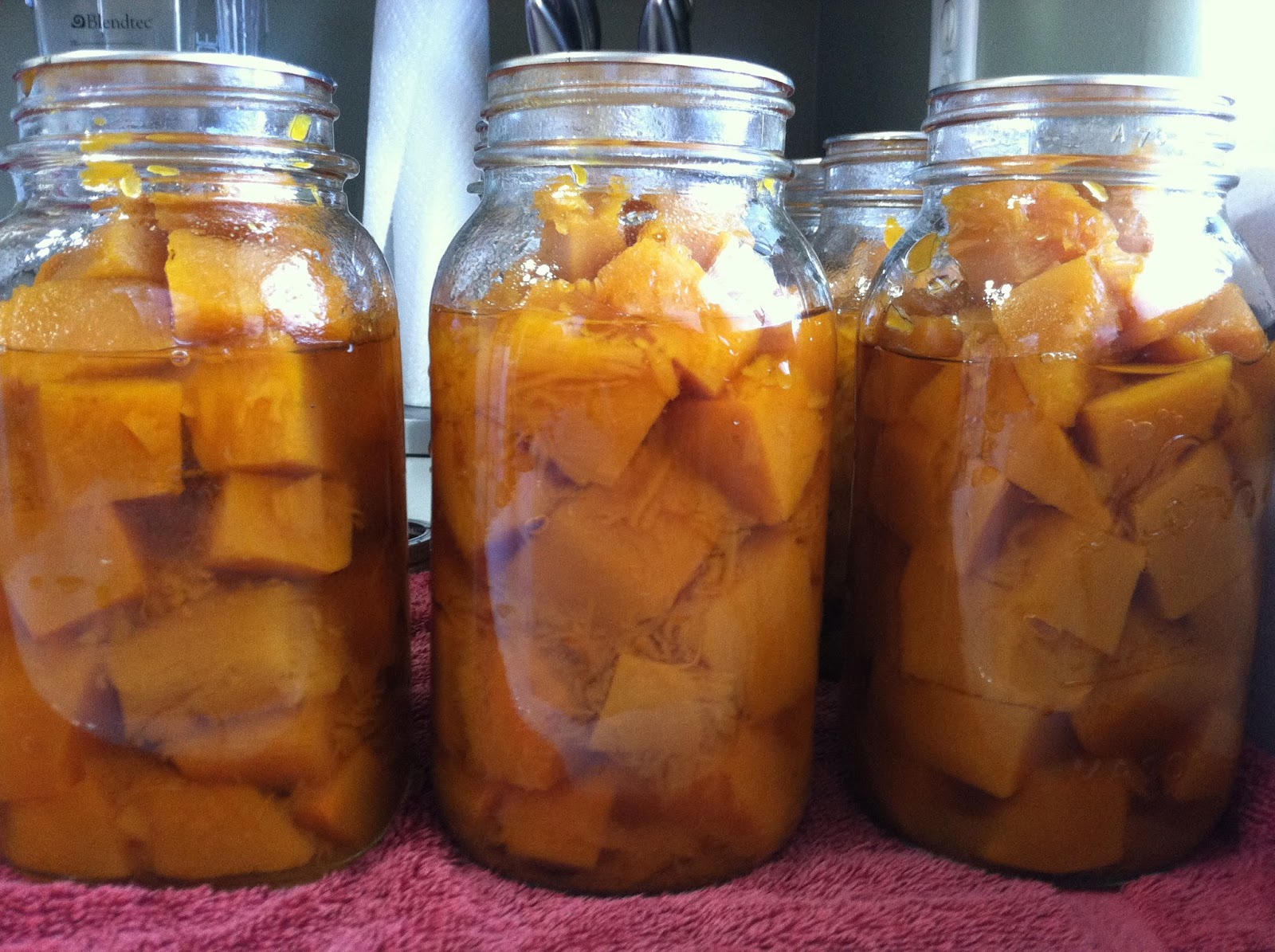 menu managed Canned Pumpkin