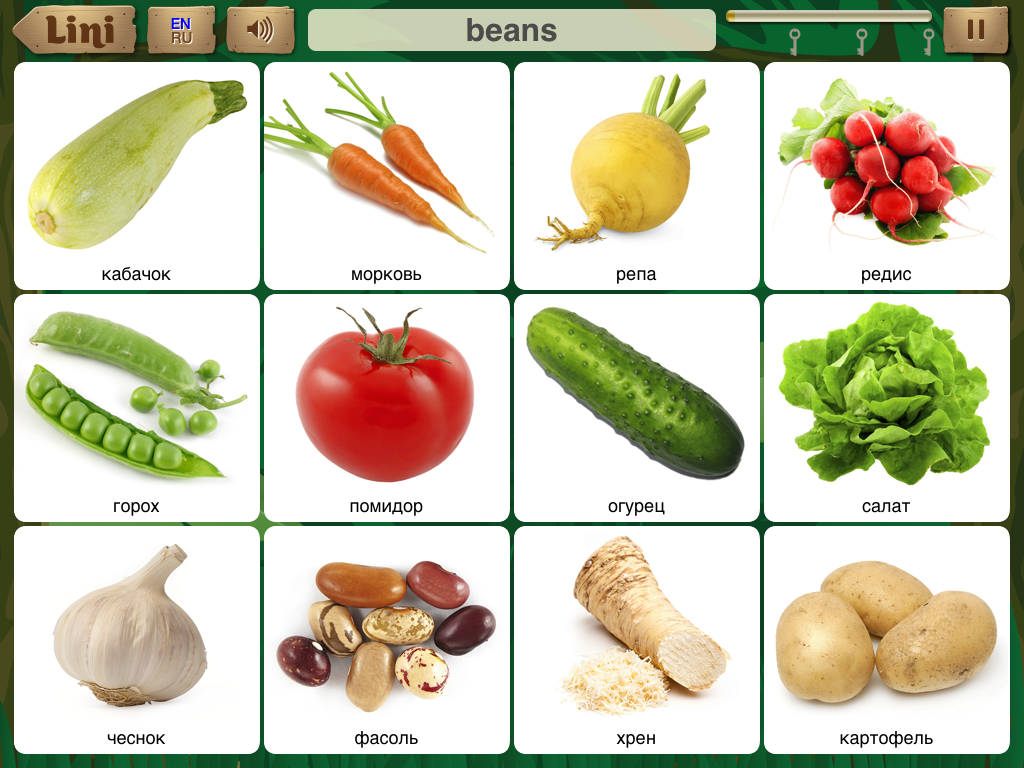 Овощи слова русский. Овощи названия. Карточки овощи для детей. Овощи для дошкольников. Фрукты и овощи карточки для изучения.
