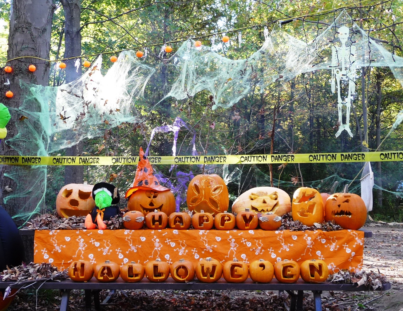 One Tank Trips A howling good Halloween awaits in Ontario Parks