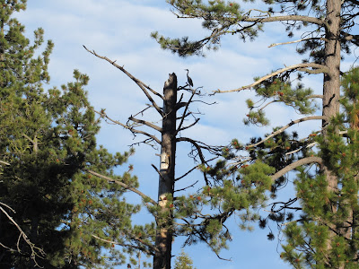 Lassen Volcanic National Park