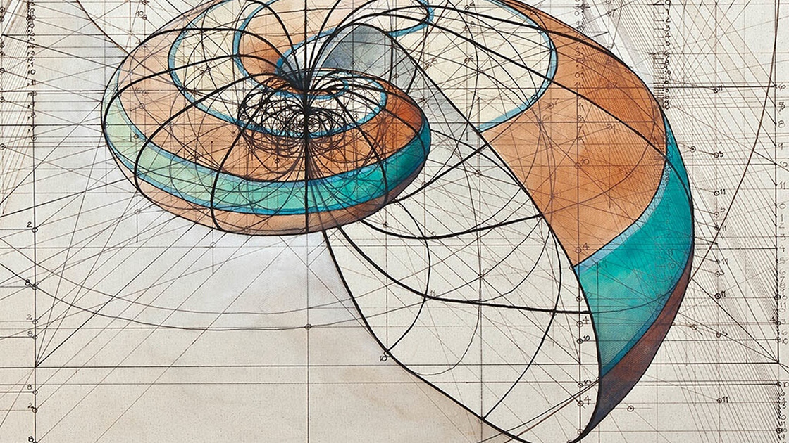 Fantastic Coloring Book Celebrates The Mathematical Beauty of Nature’s Creations With Hand-Drawn Golden Ratio Illustrations