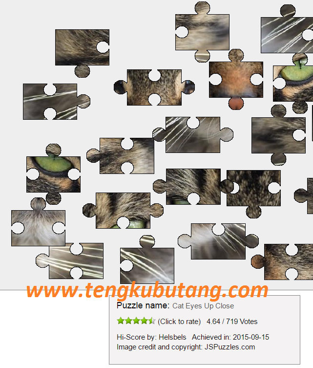 BERMAIN JIGSAW PUZZLE SECARA ONLINE DI JS PUZZLES