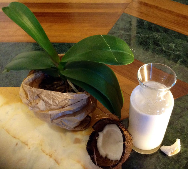 latte di cocco fatto in casa