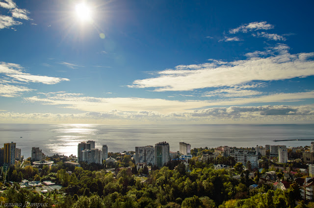 Вид со смотровой в Дендропарке Сочи фото Путешествия: Вид со смотровой в Дендропарке Сочи фото