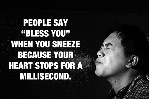 The Reason Why People Say Bless You When You Sneeze Because Your Heart Stops For A Millisecond 