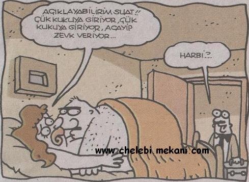 kar-kat-r-burda-k-kuku