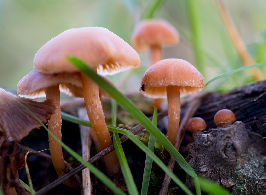 Robin Loznak Photography Winter in SW Oregon