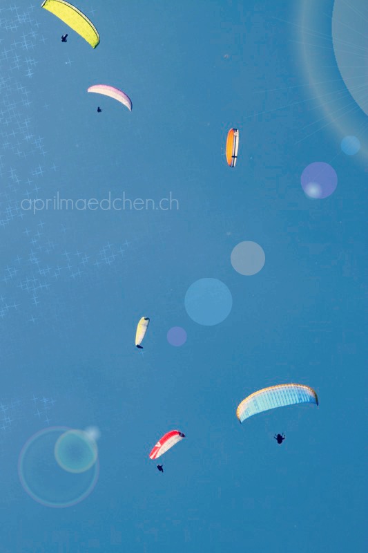 Detailverliebt Schweiz Ausbeute