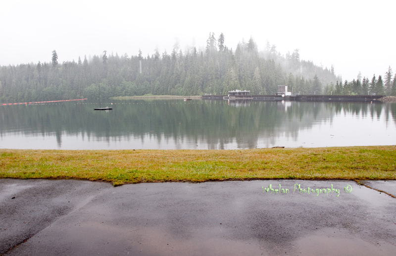 Walks with Moss West Fork Humptulips and Camping Nearby