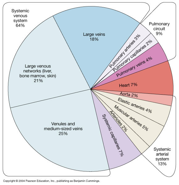 Principles of Human Anatomy and Physiology CHAPTER 18 Blood vessel