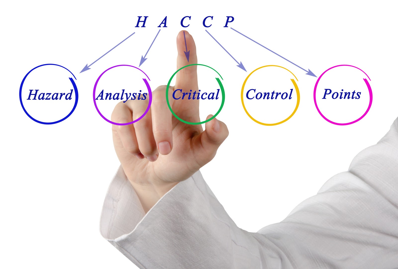 Superior Food Safety From HACCP to HARPC, and Integrating Pest Management