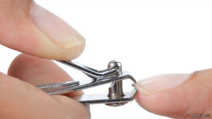 Hukum Memotong Kuku dan dan Menggunting Rambut Ketika Haid.. - Info Islam