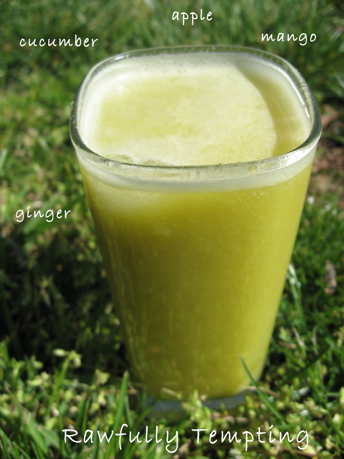 Cucumber Apple Mango Ginger Juice