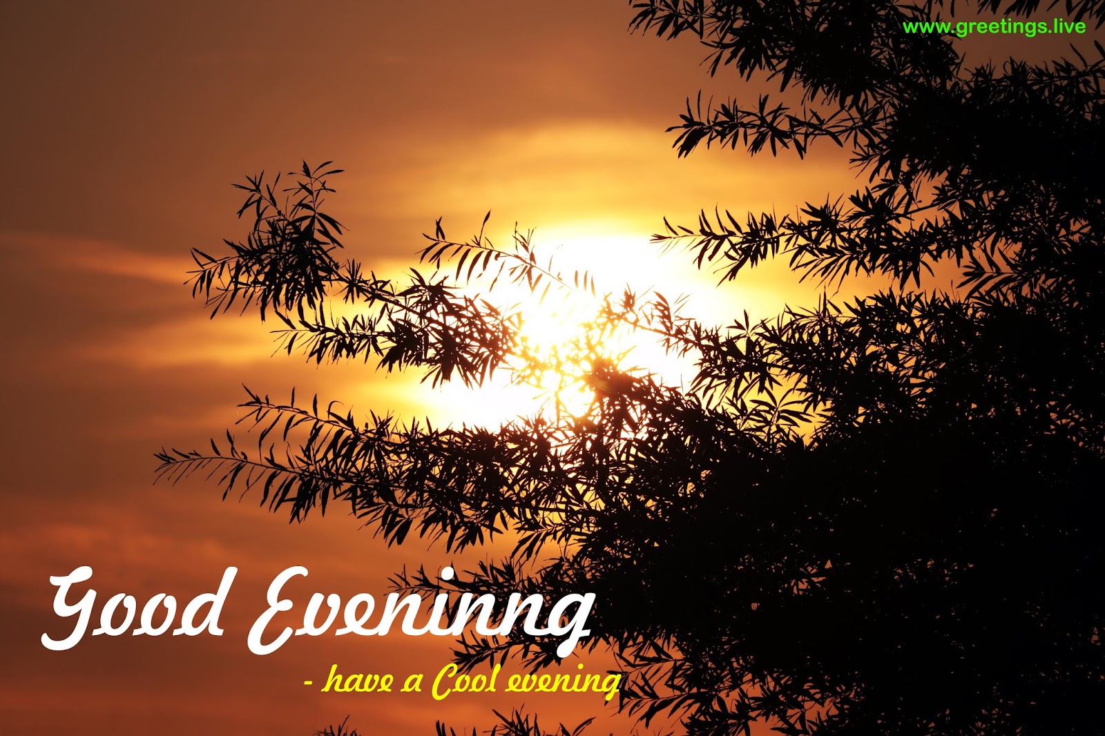 Greetings.Live*Free Daily Greetings Pictures Festival GIF Images ...