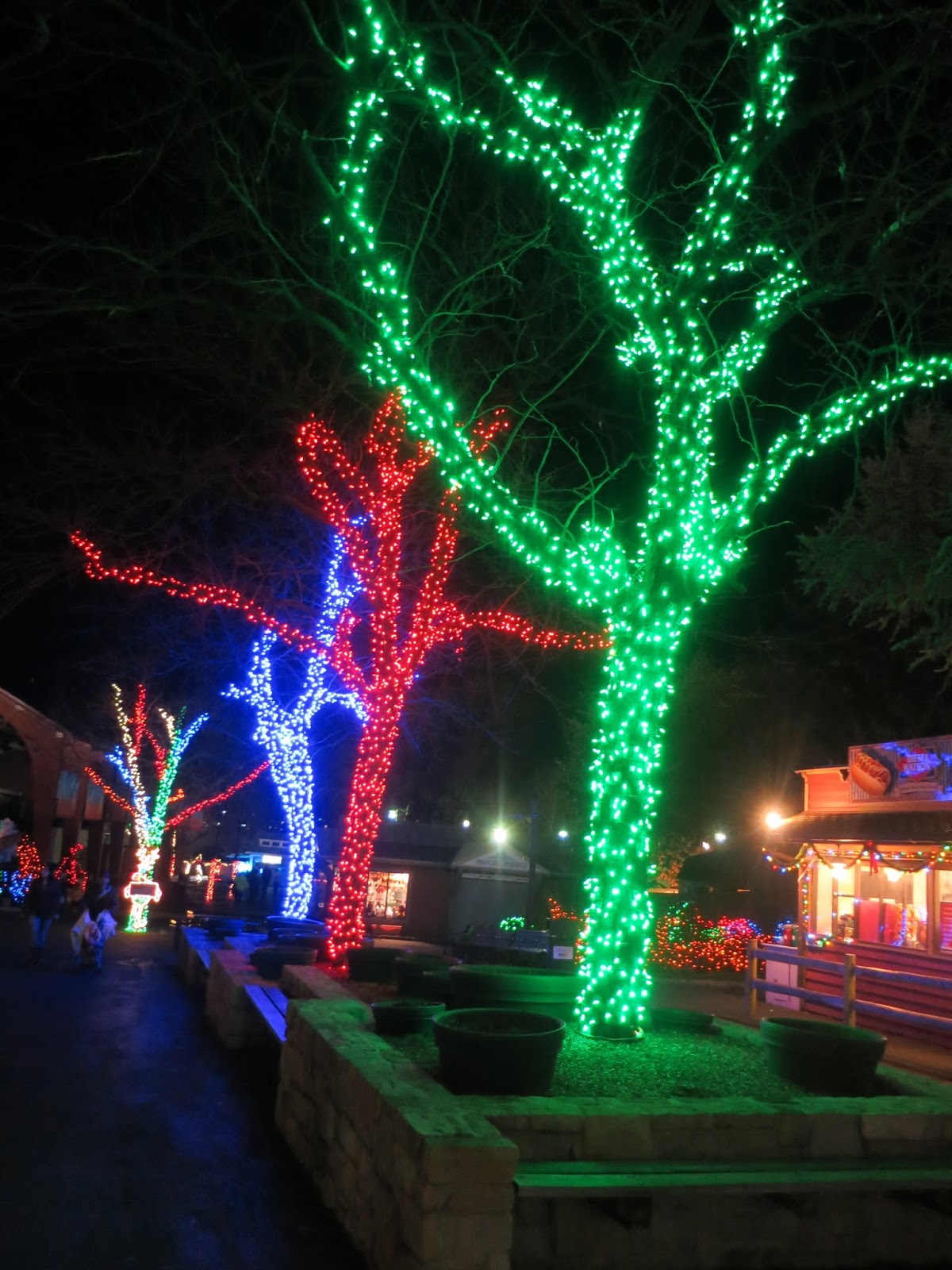 Susan's Disney Family The amazing Hersheypark Christmas Candylane