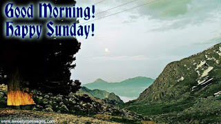 good morning and happy sunday images have a nice sunday images