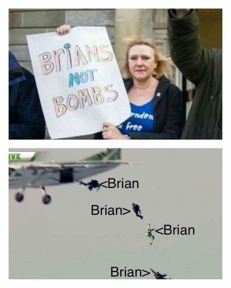 Brians Not Bombs ~ Silly Bunt