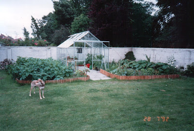 greenhouse re-situated along with veg gardens