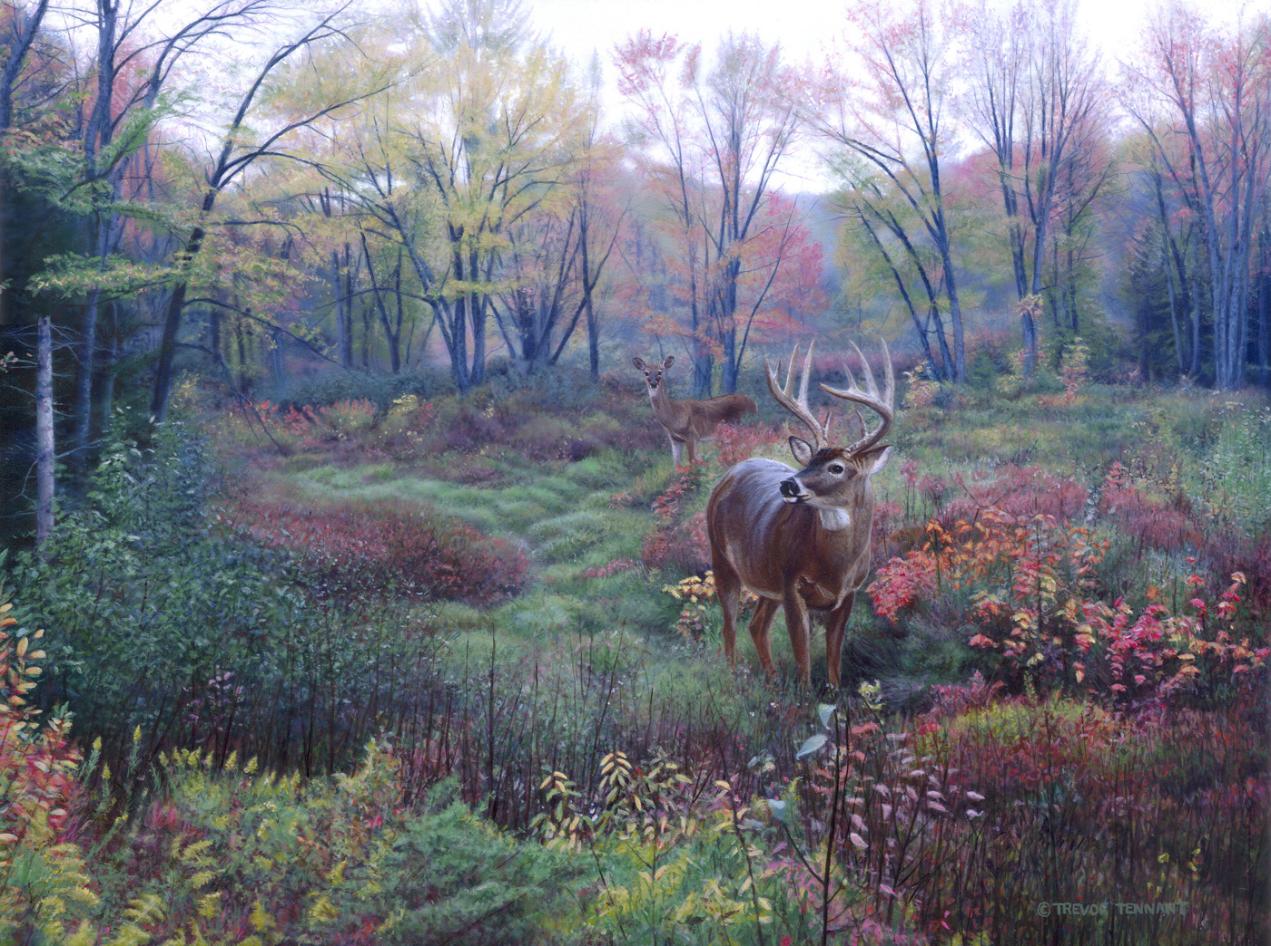 The Heart of Home: Finding my Homestead : October 2015