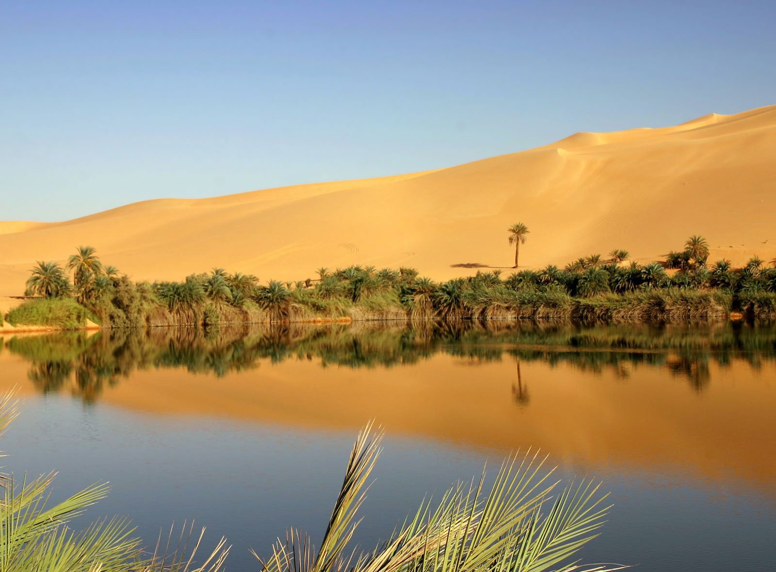 Крупнейший оазис. Оазис в пустыне Африки. Оазис Аравийской пустыни. Туркменистан пустыня Оазис. Кашан - Оазис в пустыне....