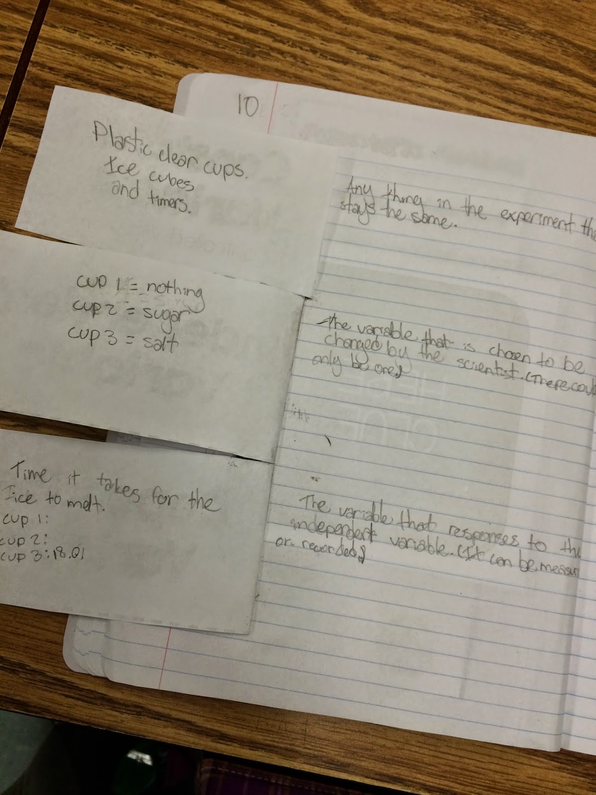 independent variable In Experimental Variables Worksheet Answers