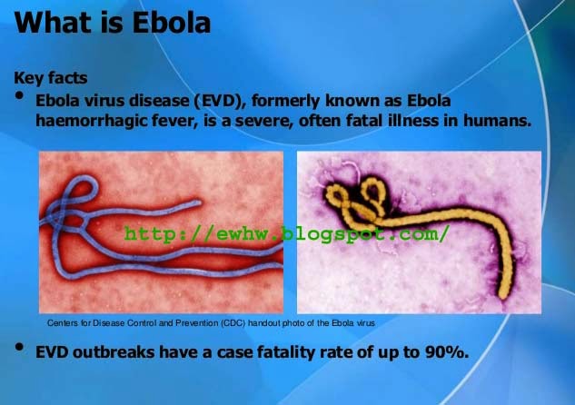 Facts About Ebola Virus Disease