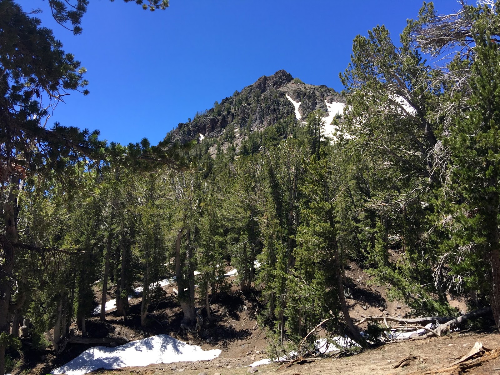 Mount Rose Peak Hike