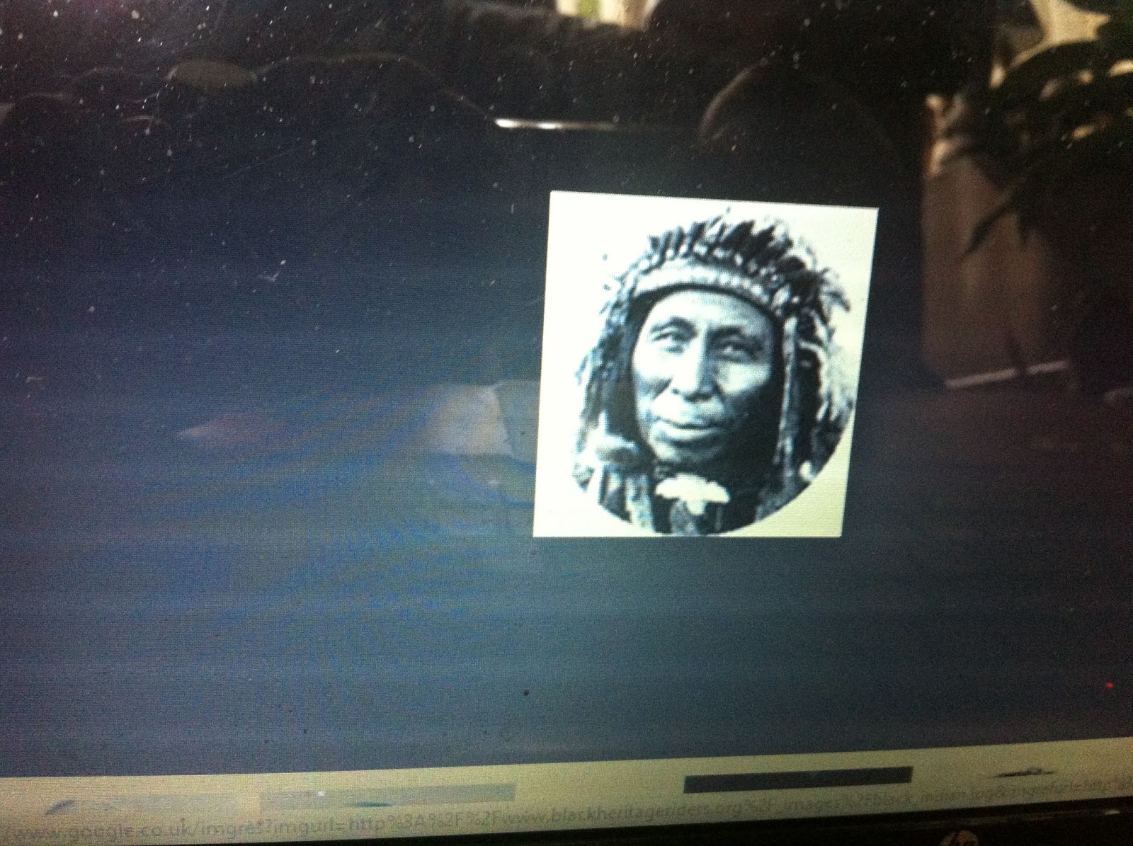 THE BLACK SOCIAL HISTORY BLACK SOCIAL HISTORY AFRICAN AMERICAN