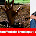 Iraj Weeraratne Say No More YouTube Trending #1  Viral Videos
