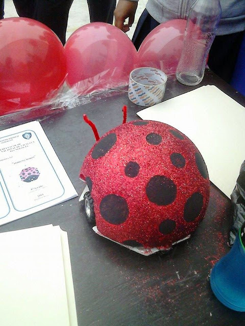 PROYECTOS DE CIENCIAS: INSECTO ROBOT