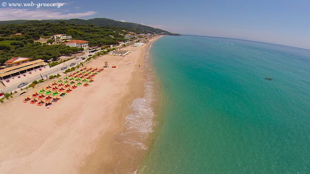 Πρέβεζα: Αναδασωτέα κηρύχθηκε περιοχή 2 χιλιάδων τ.μ στο Βράχο