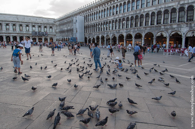 Visitar Venecia Plaza de San Marcos Italia