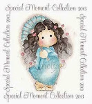 Special Moments Collection 2013